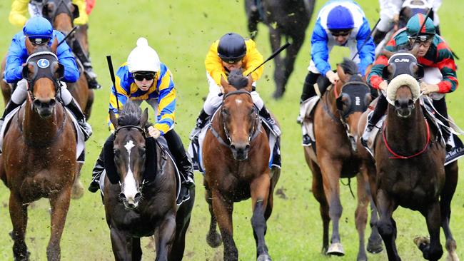 Imperator Augustus (white cap) will be hard to beat at Goulburn. Picture: Mark Evans