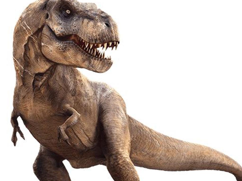 The mystery of Tyrannosaurus rex and its tiny arms has been solved