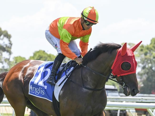 Form analyst Shayne O'Cass gives Too Many Kisses a terrific winning chance at Kembla Grange on Saturday. Picture: Bradley Photos