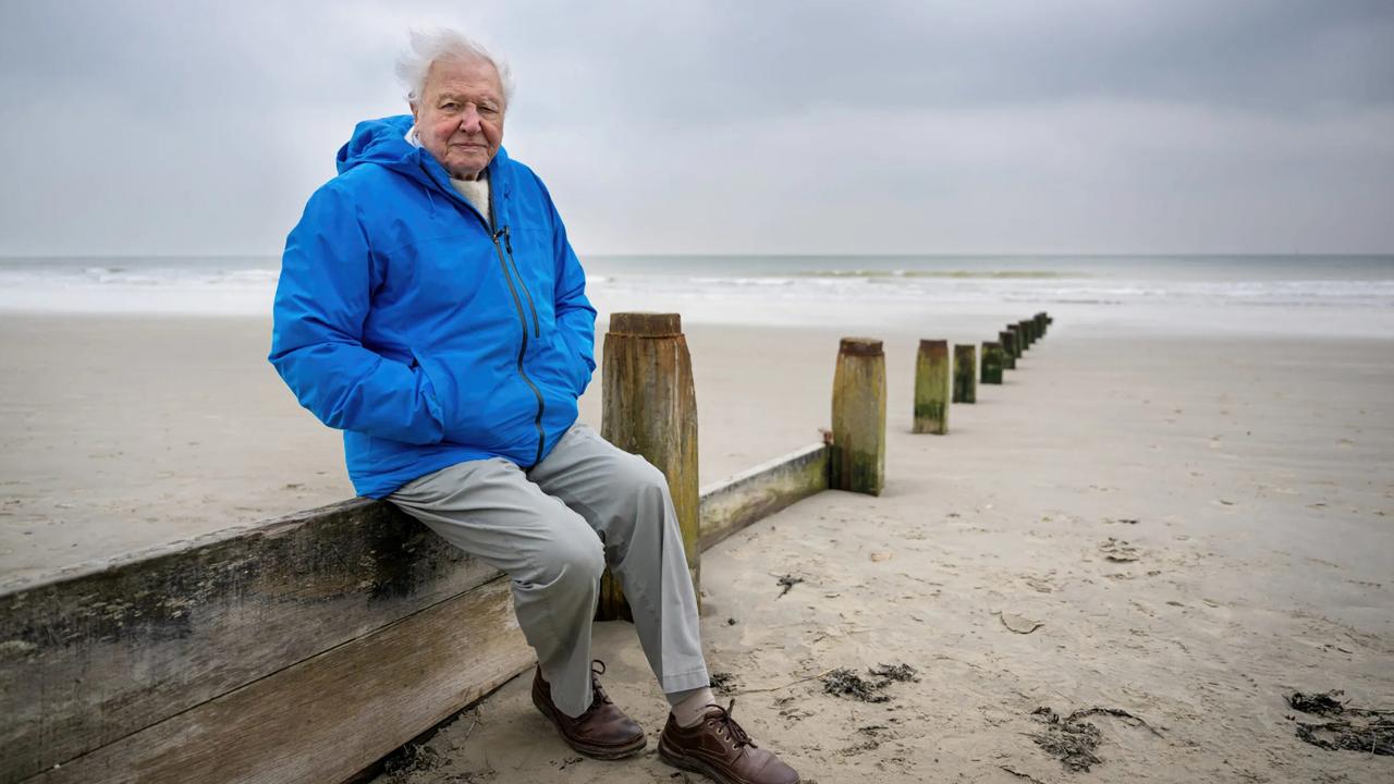 The documentary featuring Sir David Attenborough highlights actions the world can take to restore the oceans. Picture: Conor McDonnell
