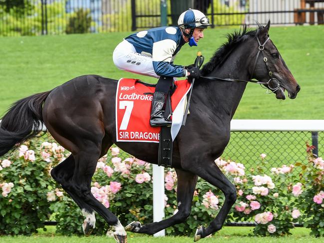 Sir Dragonet is in fine form after winning the Cox Plate.