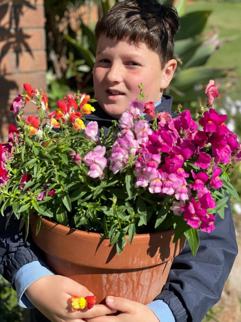 Our Lady of Lourdes student Ben Vidler holding pot of snap dragons