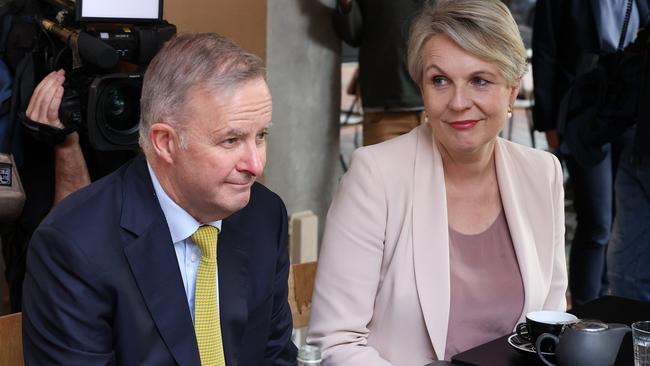 Mr Albanese and Tanya Plibersek on the campaign trail in May. Picture: Liam Kidston