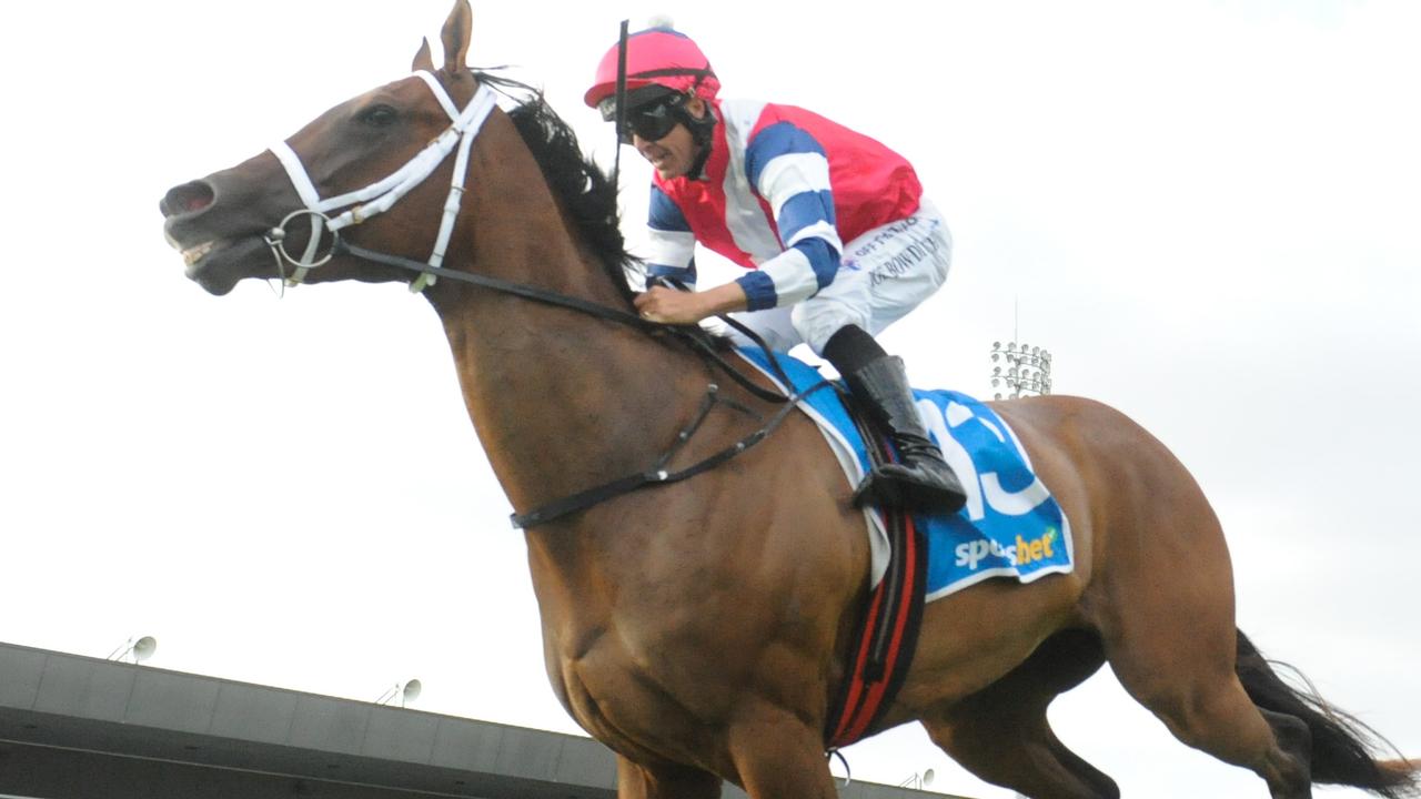 Gala Queen will shoot for second straight win at Pakenham when she steps out on her home track on Thursday night. Picture: Racing Photos