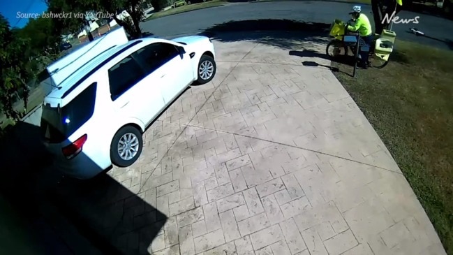 Magpie continually attacks postie