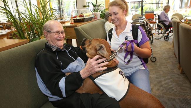 Pet therapy aged store care