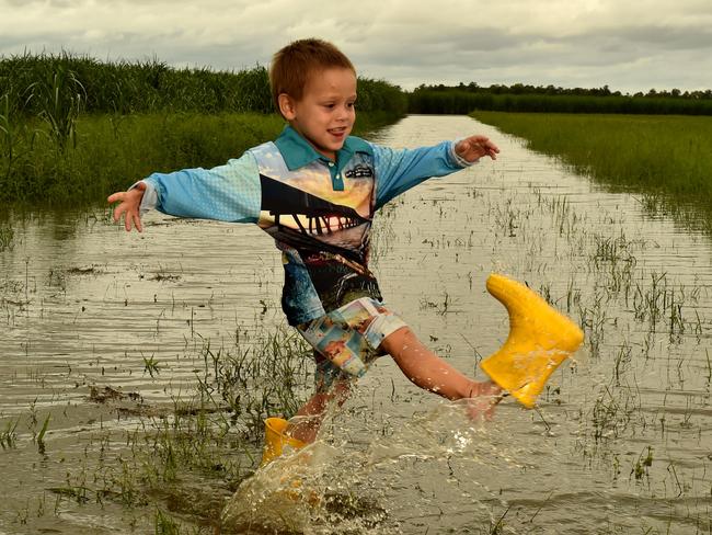 Sampson Coco plays in a cane field off Four Mile Road near Ingham which had 250mm of rain overnight. Picture: Evan Morgan