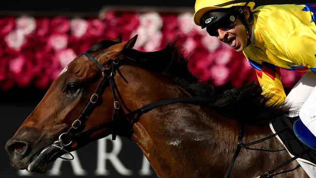 Jockey Michael Rodd lapped up Vega One’s win in The Gateway. Picture: AAP