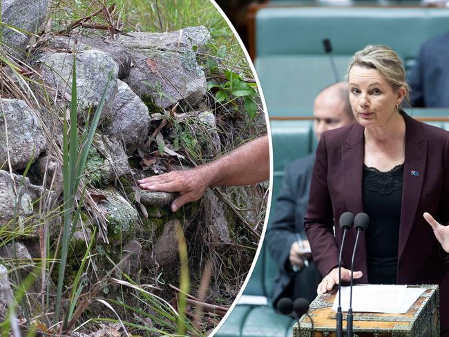 Federal Environment Minister Sussan Ley has been asked to intervene and protect the Gympie Pyramid, which is threatened to be destroyed by the Gympie Bypass.