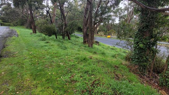 The bushland that the accused gunman hid in.