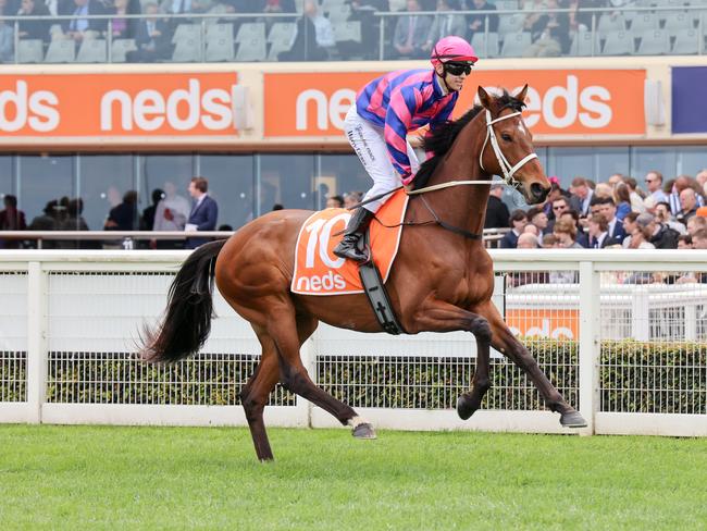 Ferago will chase a Melbourne Cup start via Saturday's $500,000 Andrew Ramsden at Flemington. Picture: Racing Photos via Getty Images.