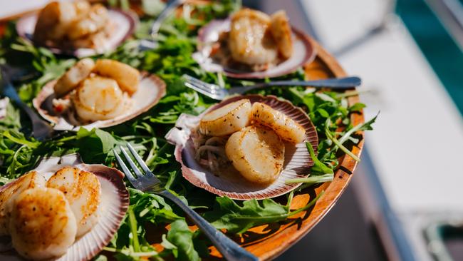 Abrolhos Island scallops are on the menu on the cruise.