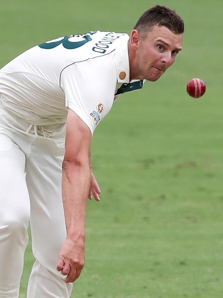 Damien Fleming says Josh Hazlewood is ‘unrelenting’.