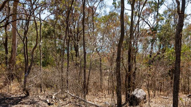 The parklands in Point Vernon have been poisoned on previous occasions.