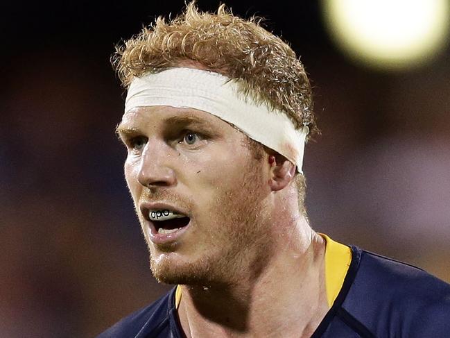 CANBERRA, AUSTRALIA - FEBRUARY 26: David Pocock of the Brumbies looks on during the round one Super Rugby match between the Brumbies and the Hurricanes at GIO Stadium on February 26, 2016 in Canberra, Australia. (Photo by Mark Metcalfe/Getty Images)