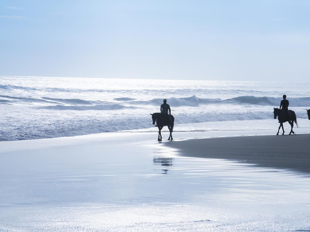 <h2><strong>Saddle up at Kuda P Stables</strong></h2><p>Trade waves for a ride of the four-legged kind and see the real Bali from horseback with this small Aussie-owned company. The stables are located in the small village of Langudu Kediri, just half an hour outside Canggu, and offer rice paddy, village and beach rides taking in the local culture.</p><p class="button-common"><a title="https://www.tripadvisor.com.au/Attraction_Review-g608496-d1763938-Reviews-Kuda_P_Stables-Tabanan_Bali.html" href="https://www.tripadvisor.com.au/Attraction_Review-g608496-d1763938-Reviews-Kuda_P_Stables-Tabanan_Bali.html" target="_blank" data-cta="https://www.tripadvisor.com.au/Attraction_Review-g608496-d1763938-Reviews-Kuda_P_Stables-Tabanan_Bali.html" data-editable="true">Book here</a></p>