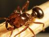 Urgent plea to stop $22bn hit to Aussies