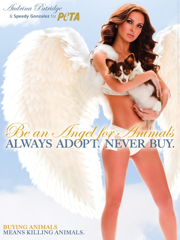 Audrina Patridge poses in a provocative angel outfit with her rescued dog, Speedy Gonzalez, next to the line, "Be an Angel for Animals-Always Adopt, Never Buy." in a campaign for PETA