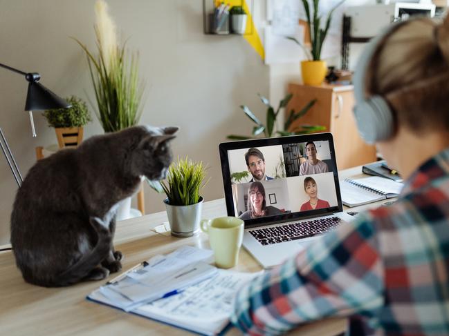 Millennial woman dealing with finance and electronic banking