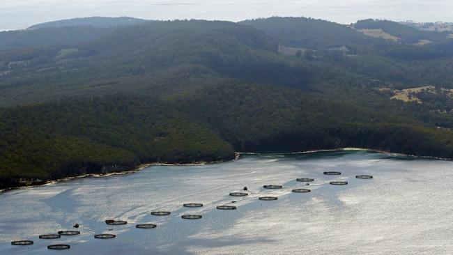 Fish farming pens in Crooked Billet Bay out from Nubeena. Picture: PATRICK GEE