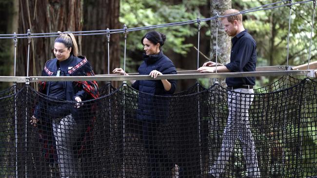 Treetop walk. Picture: AP