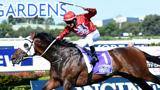 Tarzino ridden by Craig Newitt wins race 6 Rosehill Guineas at Rosehill Gardens Racecourse, Sydney, Saturday, March 19, 2016. (AAP Image/Brendan Esposito) NO ARCHIVING, EDITORIAL USE ONLY