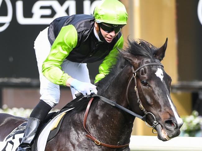 Persan ridden by Jye McNeil wins the The Bart Cummings , at Flemington Racecourse on October 03, 2020 in Flemington, Australia. (Natasha Morello/Racing Photos via Getty Images)