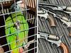 Exotic animals seized after gun cache raid
