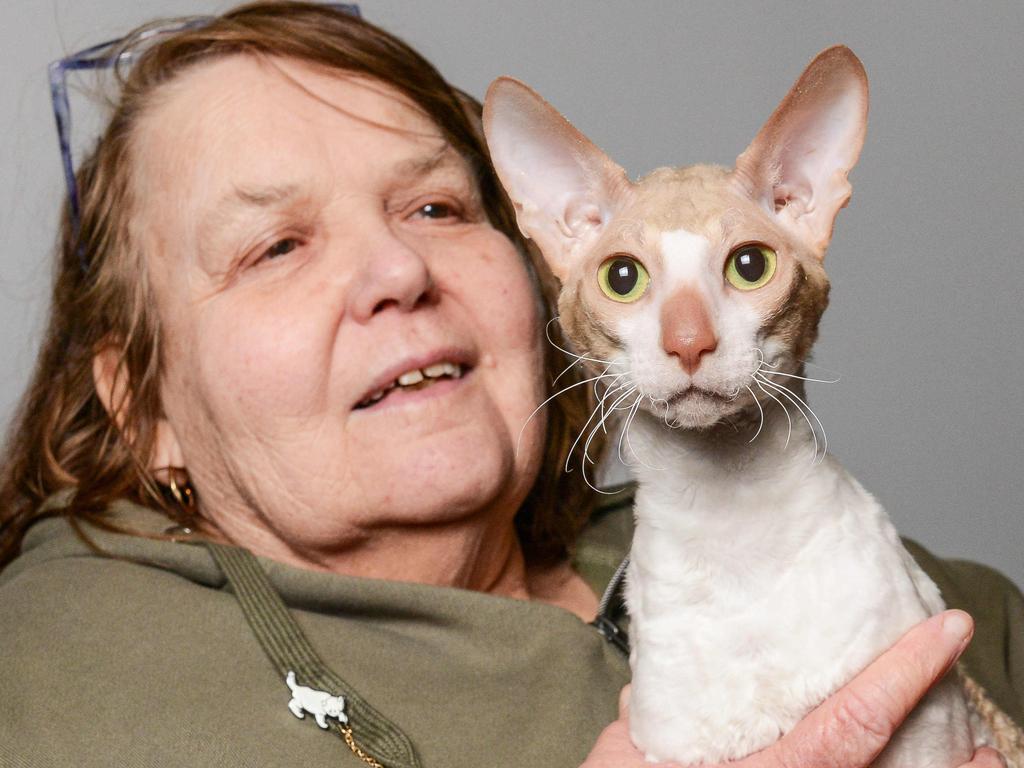 Sue Morton with Pepper the susaramo cornish rex cat at the Royal Show. Picture: Brenton Edwards