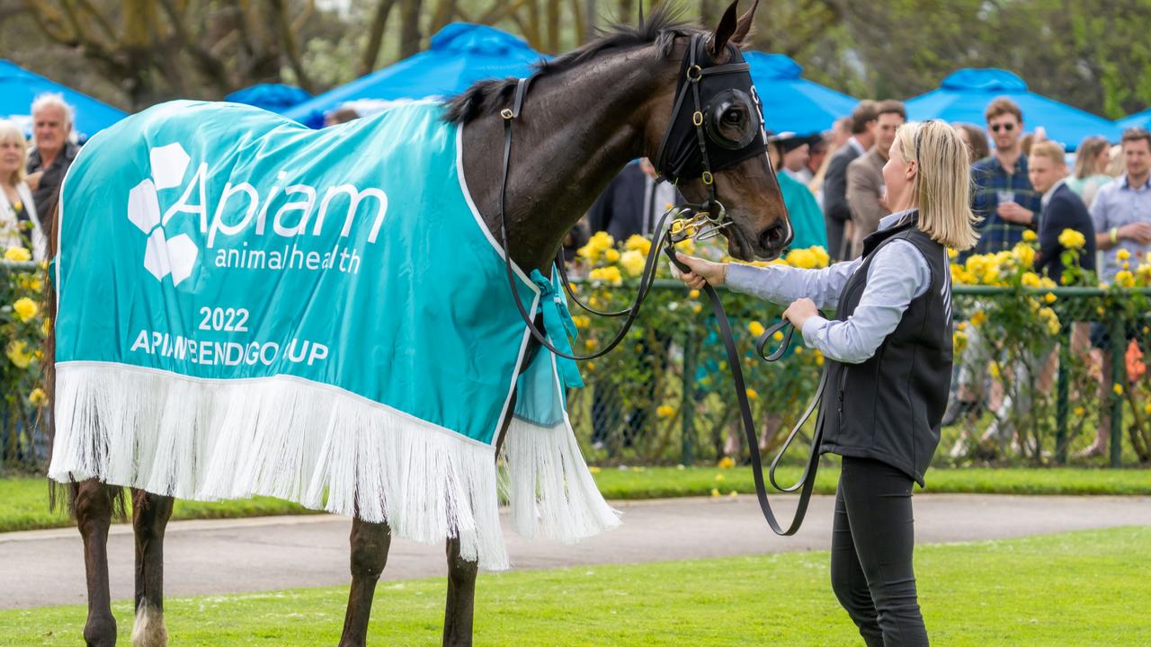 High Emocean and a strapper after the horse won the Bendigo Cup. Photo by Jay Town/Racing Photos via Getty Images