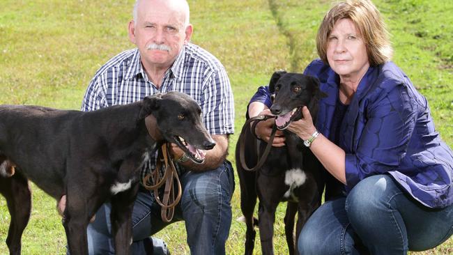 Mario and Colleen Abela consider themselves hobby greyhound racing owners.