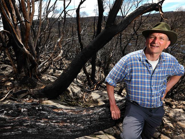 Professor of Environmental Change Biology David Bowman from the University of Tasmania. Picture: Chris Kidd