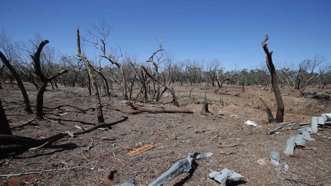 Trees for hundreds of metres around the epicentre were destroyed in the blast, which measured 2.1 on the Richter scale. 