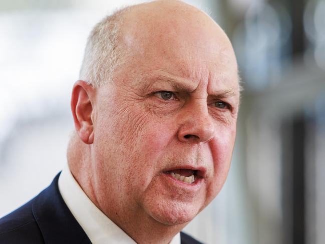 MELBOURNE, AUSTRALIA - Newswire Photos November 6, 2024: Treasurer Tim Pallas during a press conference at the site of the Gurner Group new development in Docklands called Elysium Fields. Picture: NewsWire / Aaron Francis