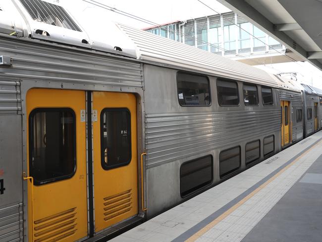 Police are hunting for two males who allegedly exposed themselves to women on trains.