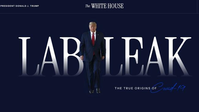 The White House's new Covid web page.