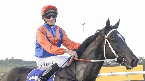 Chad Lever looks set for a good day at Kembla. Picture: Bradley Photos