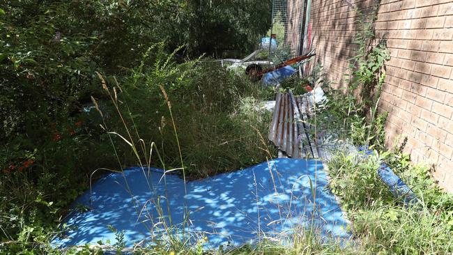 Corrugated iron, wheelbarrows and weeds outside the building. Picture: David Swift.