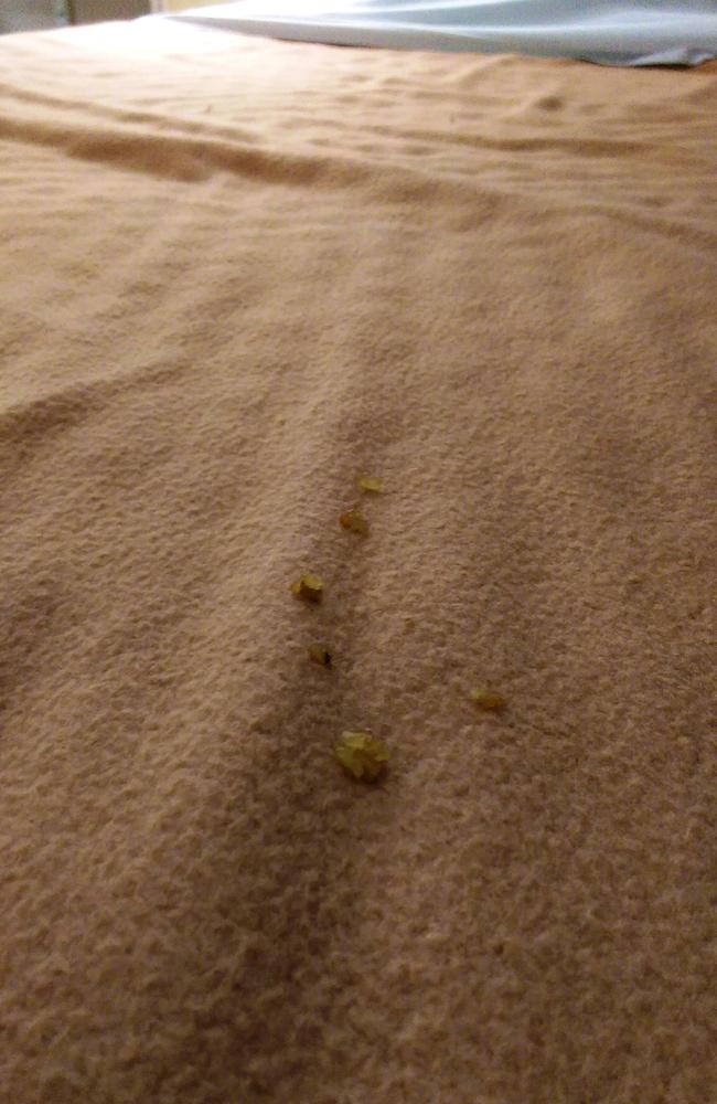 Dried up food looking like fried rice on the beds.