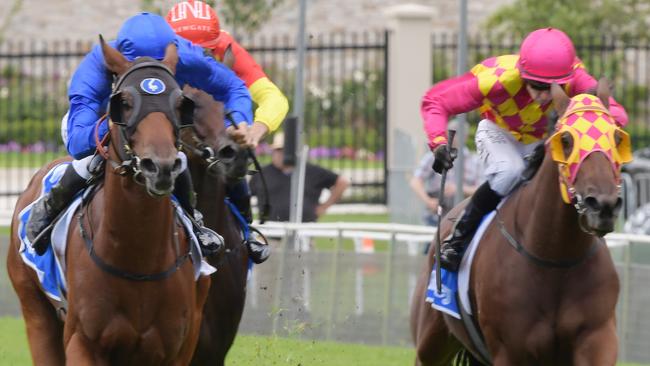 Bivouac boosted his Golden Slipper claims with victory in the Lonhro Plate. Picture: AAP 