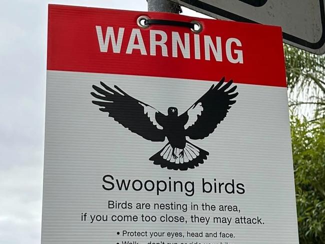 Gold Coast City Council signage to warn residents in areas where magpies are swooping