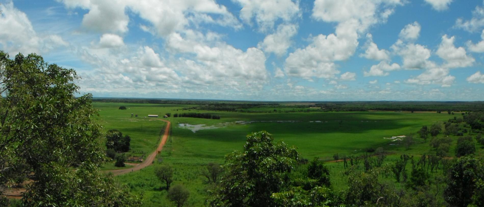 The view from Window on the Wetlands. Picture: BART IRWIN