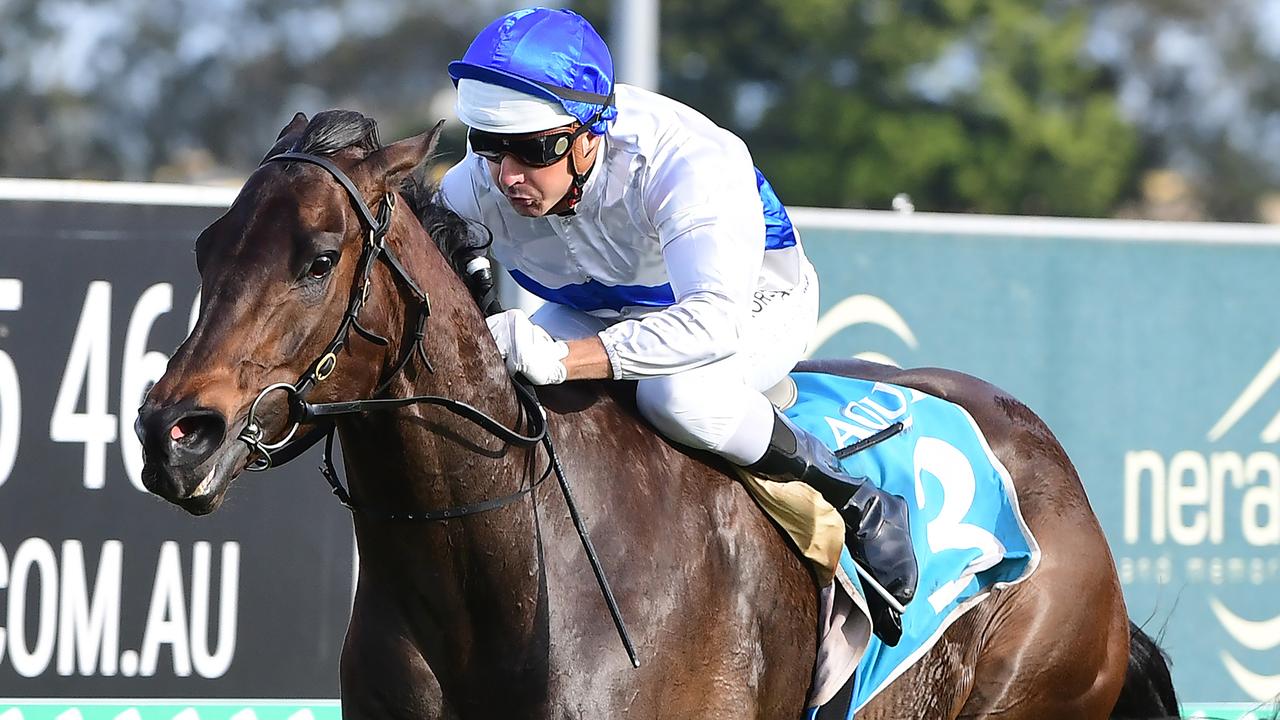 Zoustyle winning at the Gold Coast. Picture: Trackside Photography