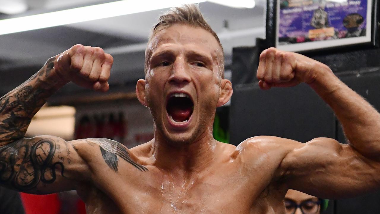 Ufc 2024 tj dillashaw