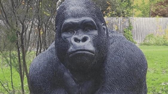 Victoria Police have charged a 33-year-old man for the alleged theft of 'Garry the Gorilla'. Picture: Victoria Police