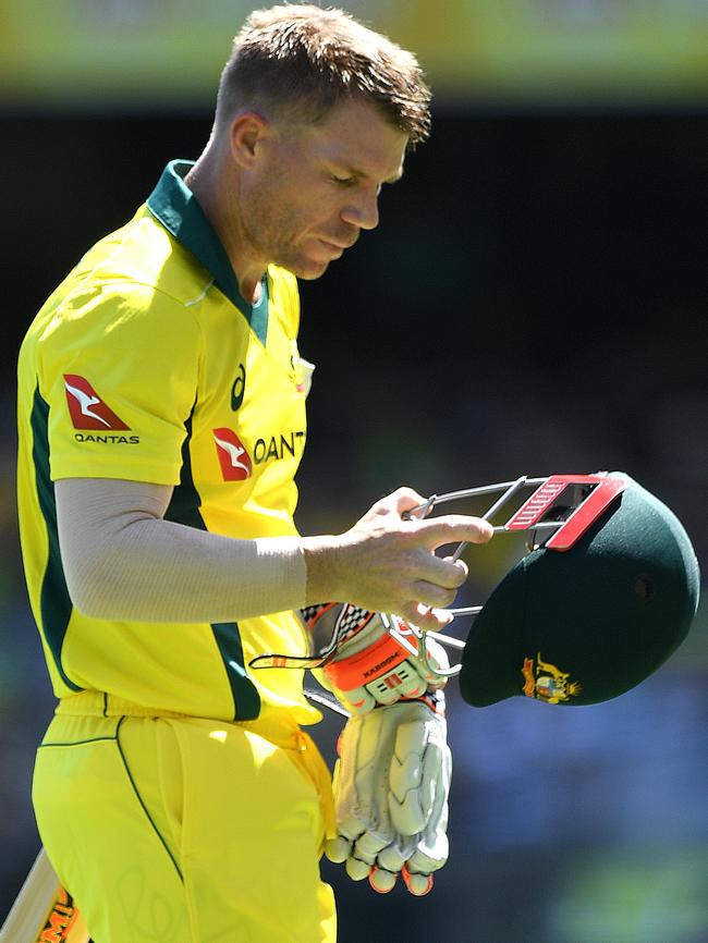 David Warner after being dismissed.