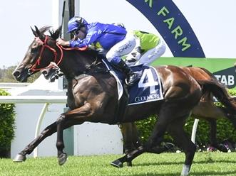 Bullets High, pictured winning at Warwick Farm in January, is Mitch Cohen's best bet of the day at Newcastle on Saturday. Picture: Bradley Photos