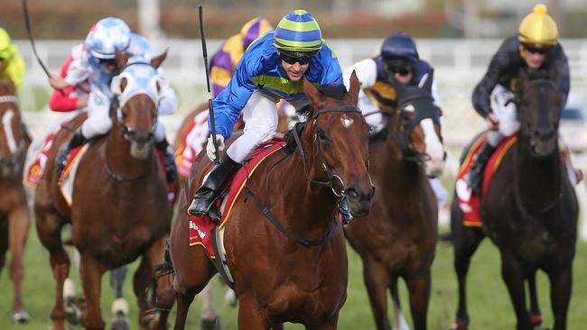 Jameka is a firm favourite for the Caulfield Cup. Picture: Michael Klein