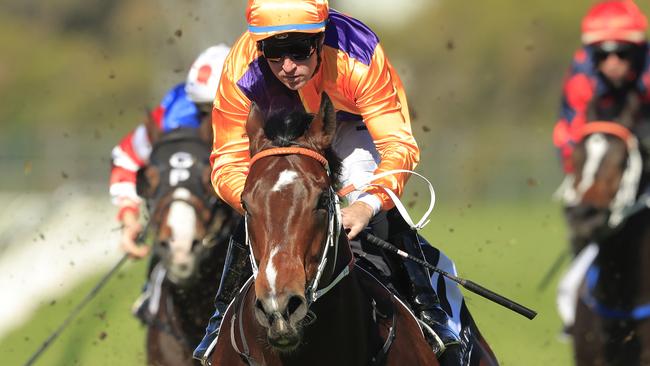 Spend lived up to the pre-race hype and showed good fighting qualities in his win. Picture: Getty Images