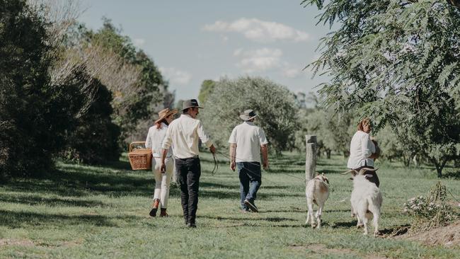 Olive View Cottage. Picture: @river.hazel